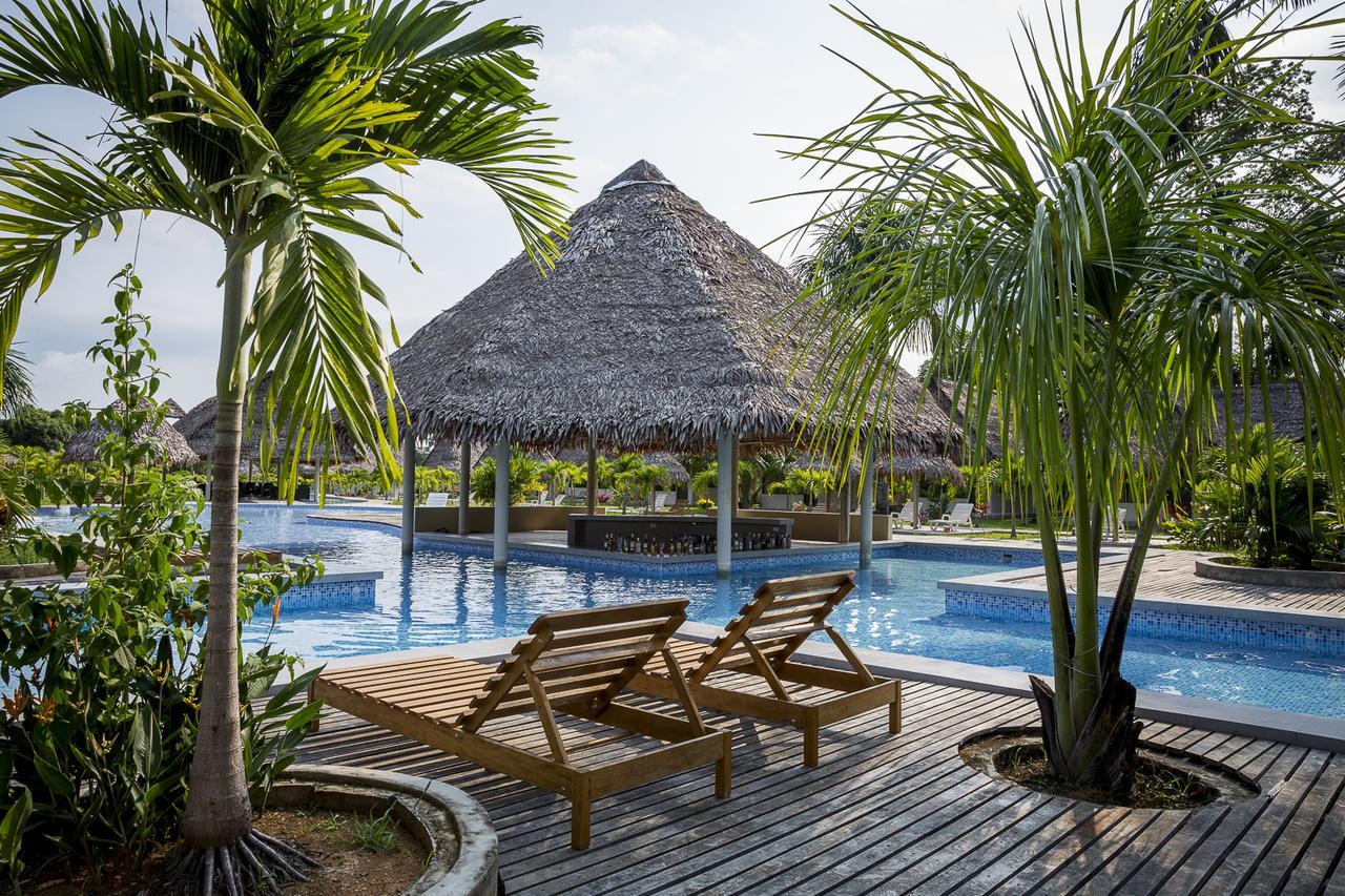Irapay Amazon Lodge - Asociado Casa Andina 이키토스 외부 사진